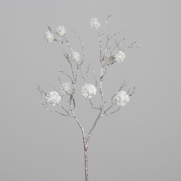 Zweig mit Fruchtstand