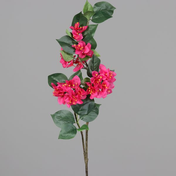 Bouganvillea 76cm pink