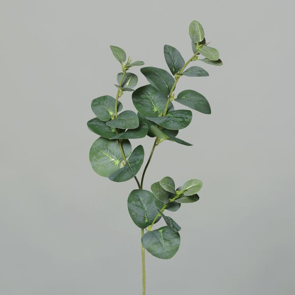 Eukalyptuszweig 64cm grün