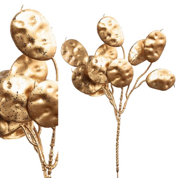 Eucalyptus gold