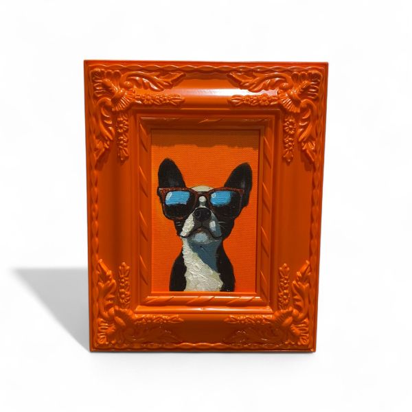 Bild DOGGY orange