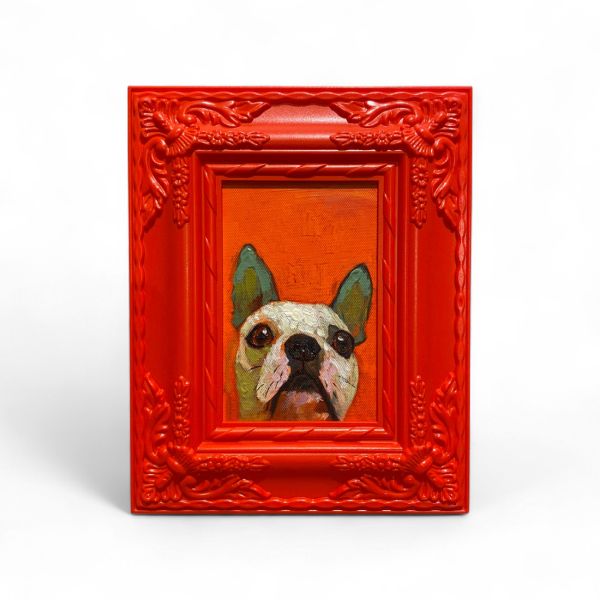 Bild DOGGY rot
