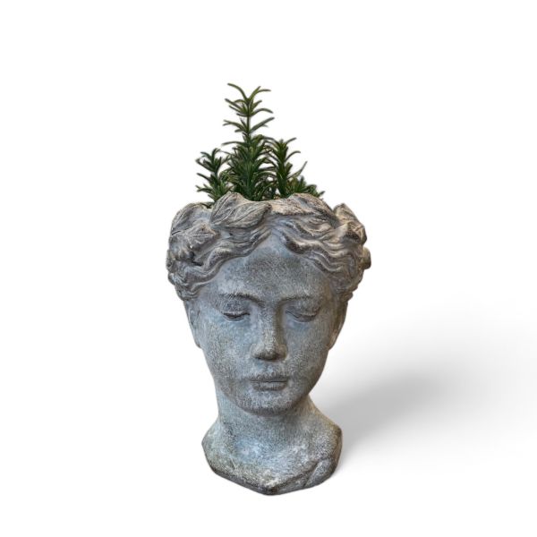 Pflanzbüste 16x15x21,5cm