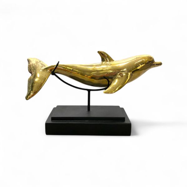 DELFIN