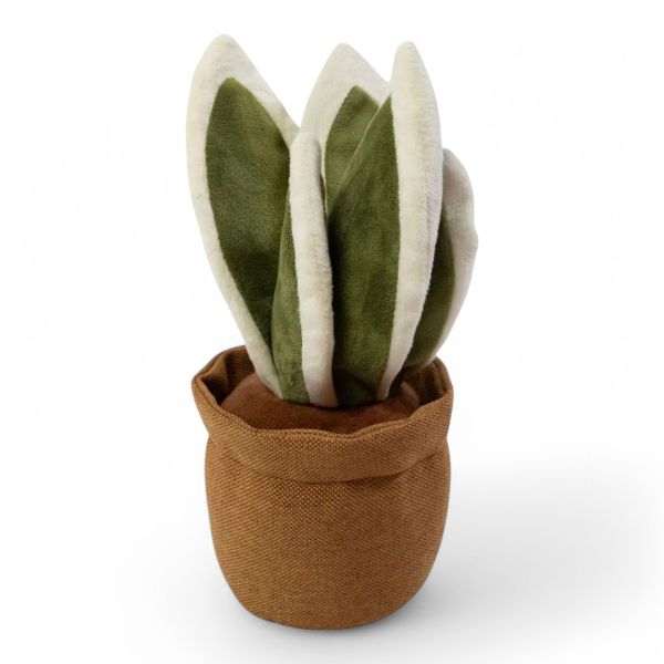 Türstopper SANSEVIERIA
