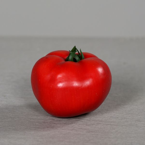 Tomate 8cm
