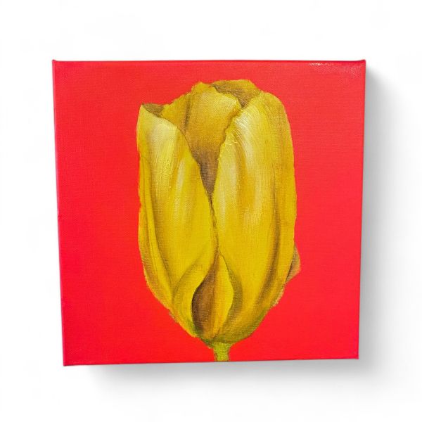 Bild TULPE neon pink/gelb