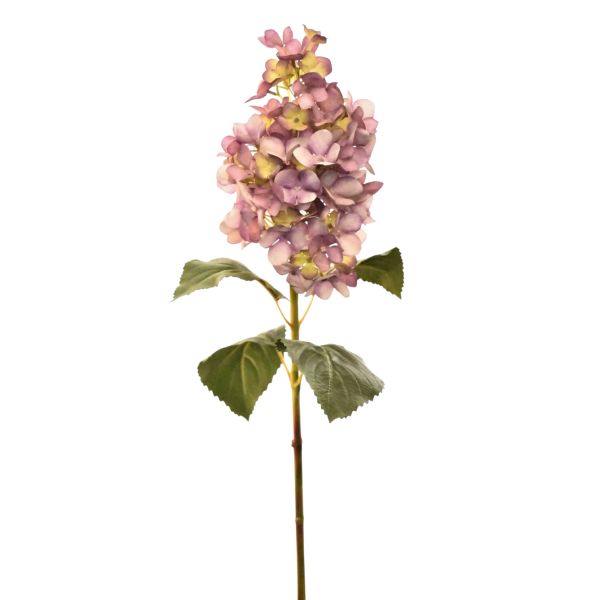 Zweig HORTENSIE lila