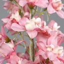 178625_Product.jpg