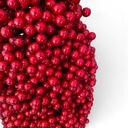 baum_beeren_groß (1).jpg