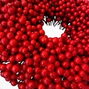 kranz_beeren (1).jpg