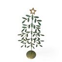 mistelbaum_groß (2)