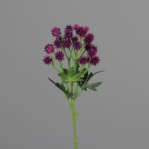 [P0015124] DISTELZWEIG dunkelpink