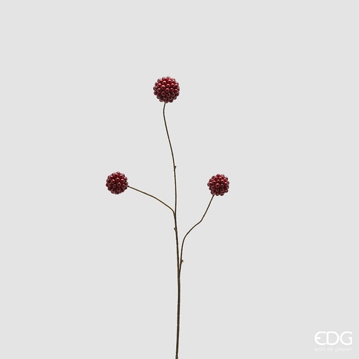[P0015644] ILEX klein